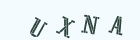 点击刷新